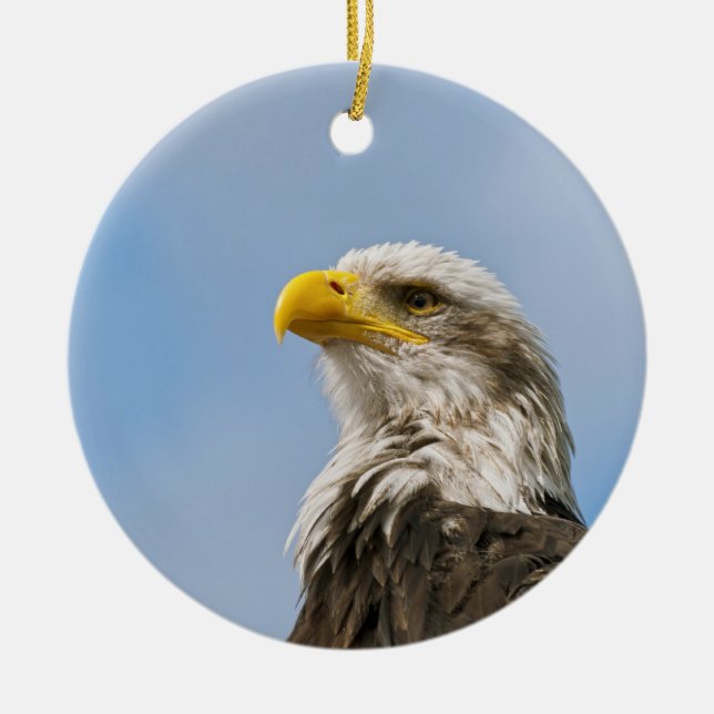 Bald Eagle Wildlife Portrait Art Ceramic Ornament (Front)