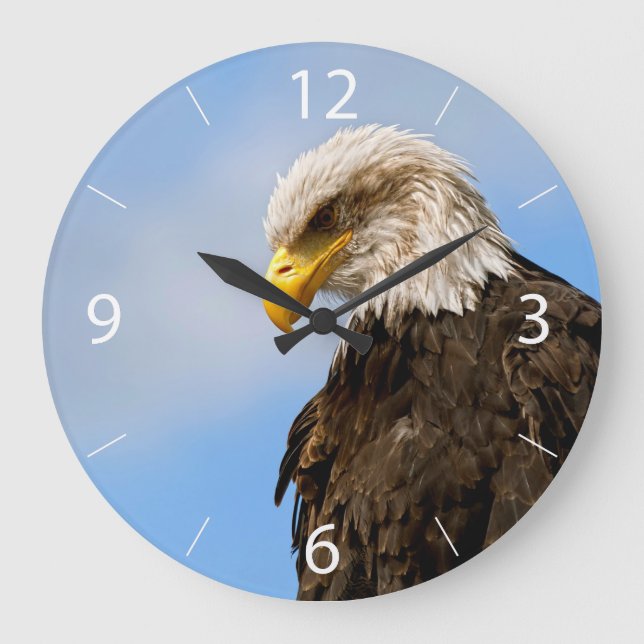 Bald Eagle Wildlife Portrait Art Large Clock (Front)