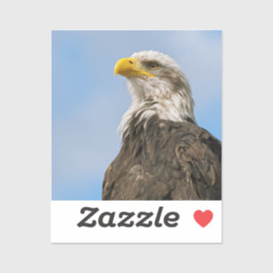 Bald Eagle Wildlife Portrait Art Sticker