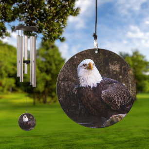 Bald Eagle Wind Chime