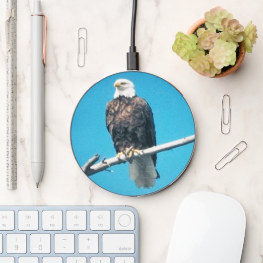Bald Eagle Wireless Charger (Desk)