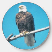 Bald Eagle Wireless Charger (Front)