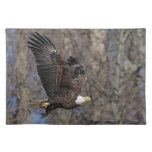 Bald Eagle With A Catfish Cloth Placemat at Zazzle