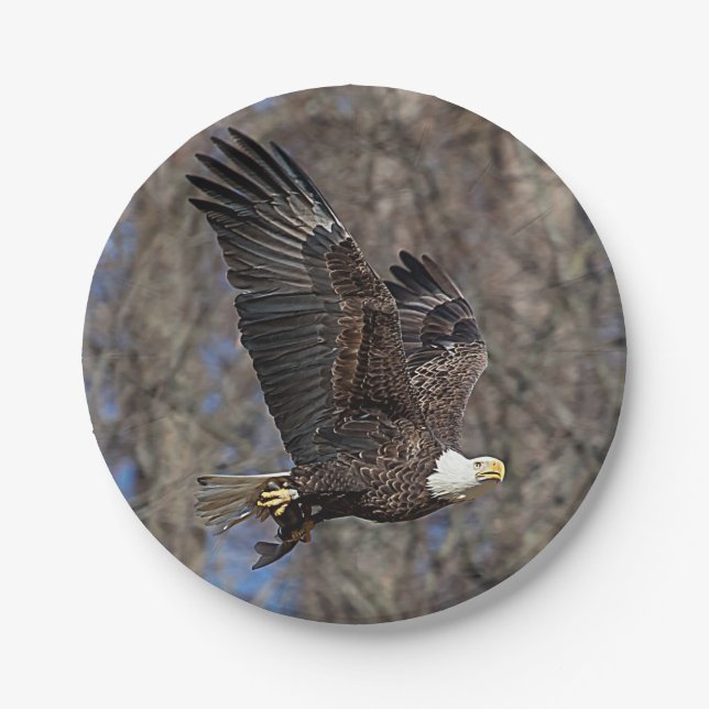 Bald Eagle with a Catfish Paper Plates (Front)