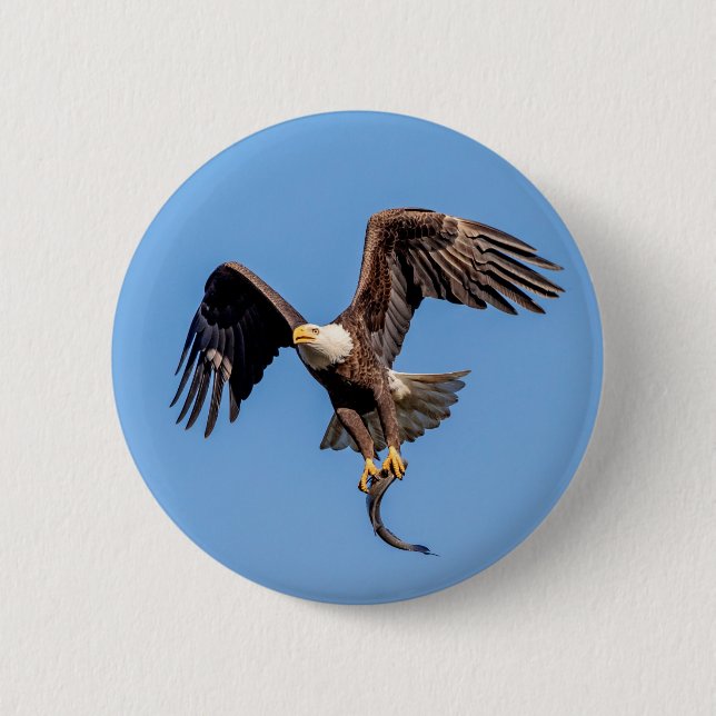 Bald Eagle with a fish Button (Front)