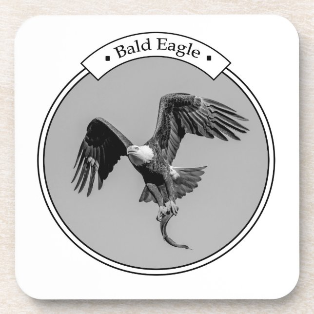 Bald Eagle with a fish Drink Coaster (Front)