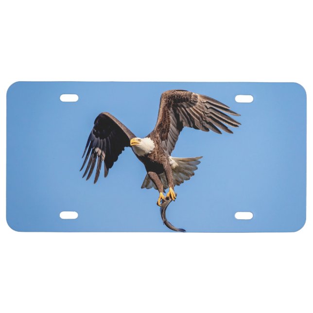 Bald Eagle with a fish License Plate (Front)