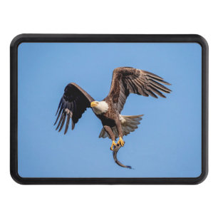 Bald Eagle with a fish Trailer Hitch Cover