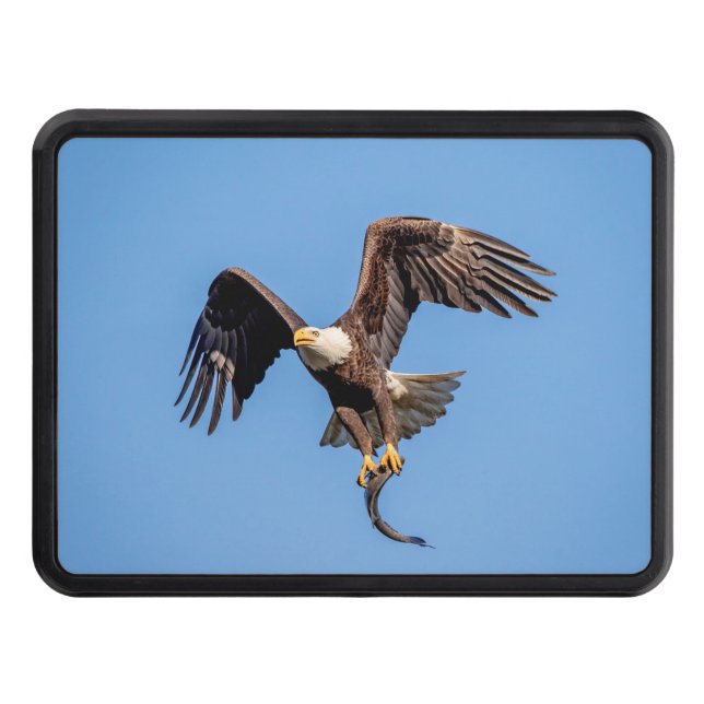 Bald Eagle with a fish Trailer Hitch Cover (Front)