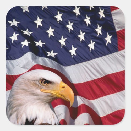 Bald Eagle with American Flag Square Sticker