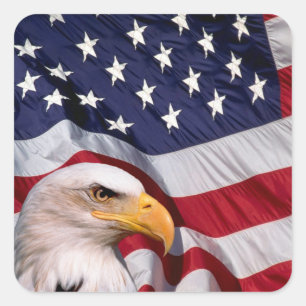 Bald Eagle with American Flag Square Sticker