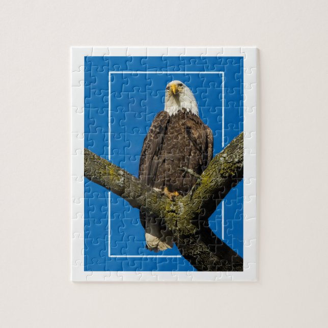 Bald Eagle With Border Jigsaw Puzzle (Vertical)