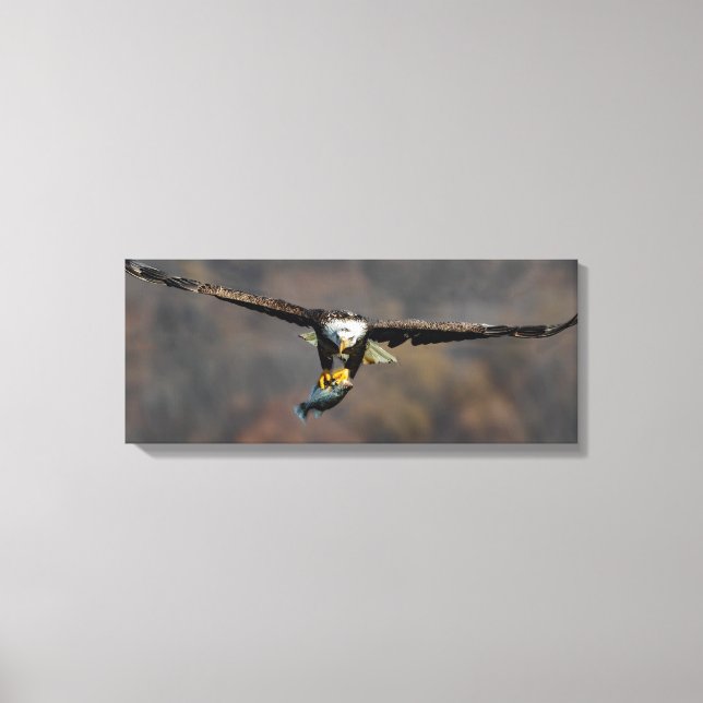 Bald Eagle With Fish Canvas Print (Front)