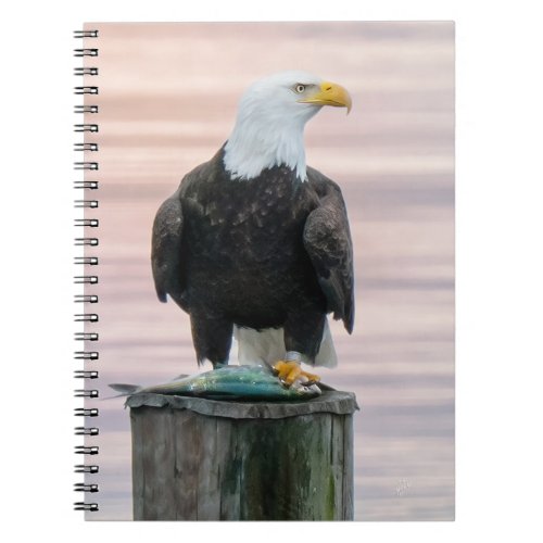 Bald Eagle With Fish On Dock _ Marge the Eagle Notebook