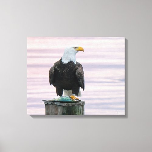 Bald Eagle With Fish  Sunrise Wildlife Photography Canvas Print