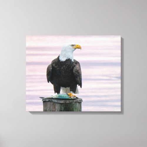 Bald Eagle With Fish  Sunrise Wildlife Photography Canvas Print