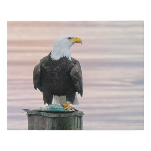 Bald Eagle With Fish Wildlife Photography Faux Canvas Print