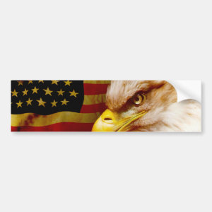 Bald eagle with flag bumper sticker