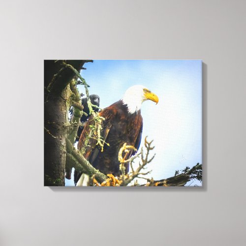 Bald Eagle with Funny Crow Photobomb Fine Art Canvas Print
