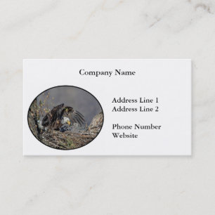Bald Eagle with her baby Business Card