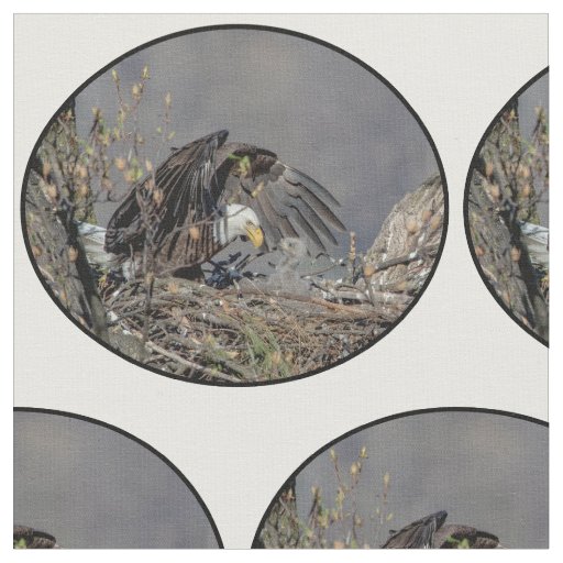 Bald Eagle with her baby Fabric