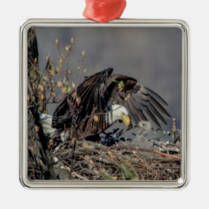 Bald Eagle with her baby Metal Ornament