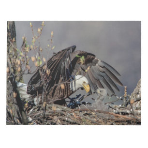 Bald Eagle with her baby Notepad