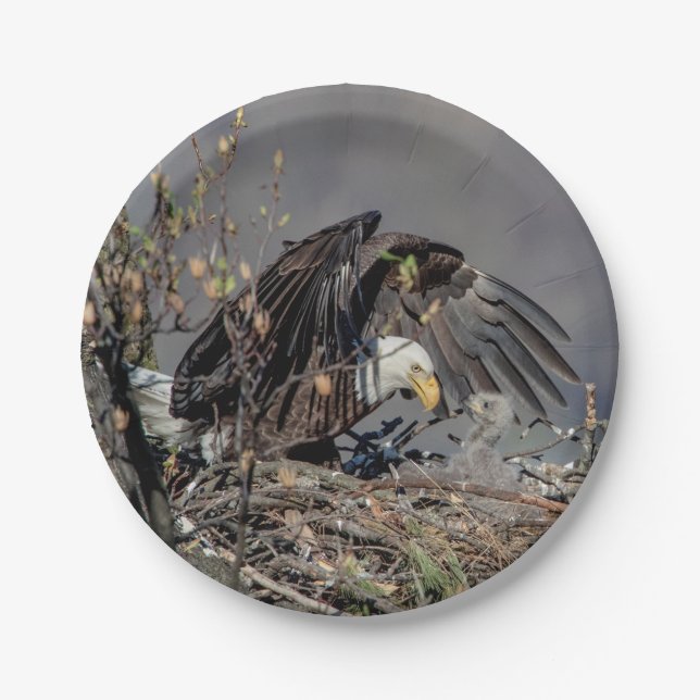 Bald Eagle with her baby Paper Plates (Front)