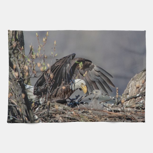 Bald Eagle with her baby Towel (Horizontal)