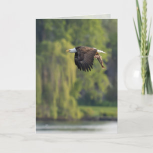 Bald Eagle with Salmon Pacific Northwest Blank Holiday Card