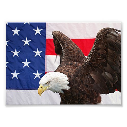 Bald Eagle with the American Flag Photo Print