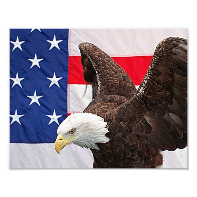 Bald Eagle with the American Flag Photo Print (Front)