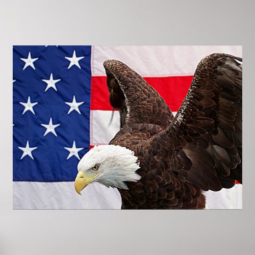 Bald Eagle with the American Flag Poster