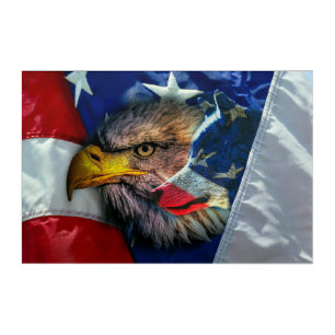 Bald Eagle Wolf American Flag Acrylic Print