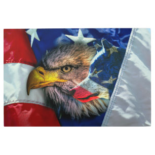 Bald Eagle Wolf American Flag Metal Print