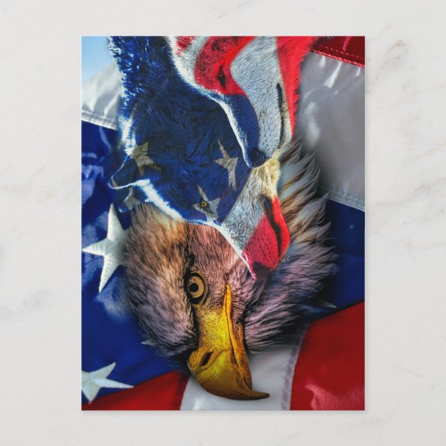 Bald Eagle Wolf American Flag Postcard (Front)