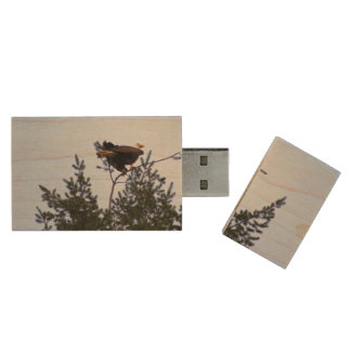 Bald Eagle Wood Flash Drive