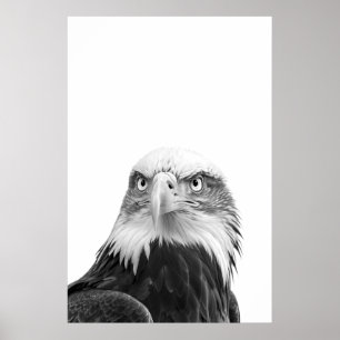 Bald Eagle Woodland Modern Portrait black white Poster