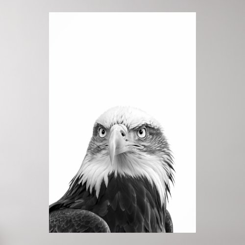 Bald Eagle Woodland Modern Portrait black white   Poster