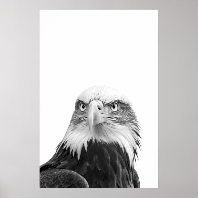 Bald Eagle Woodland Modern Portrait black white   Poster (Front)
