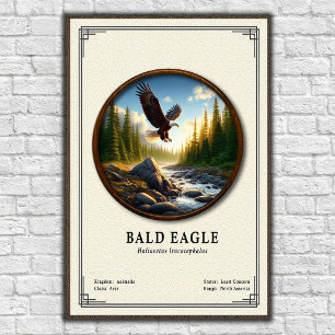 Bald Eagle Zoology Series Poster
