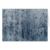 Bald Eagles (Front Horizontal)