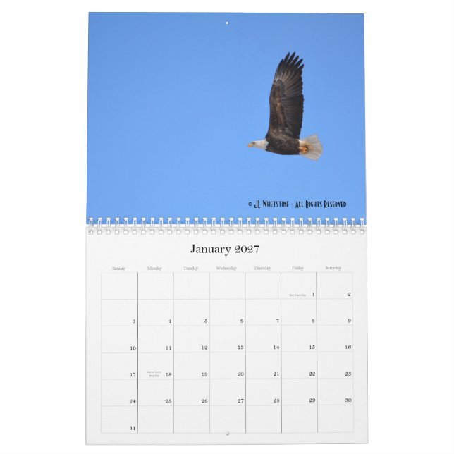Bald Eagles 2015 Calendar (Jan 2027)