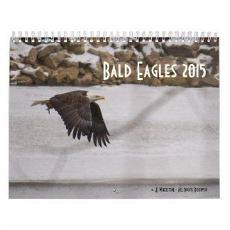 Bald Eagles 2015 Calendar