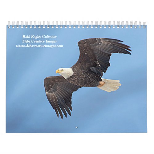 Bald Eagles 2024 Calendar