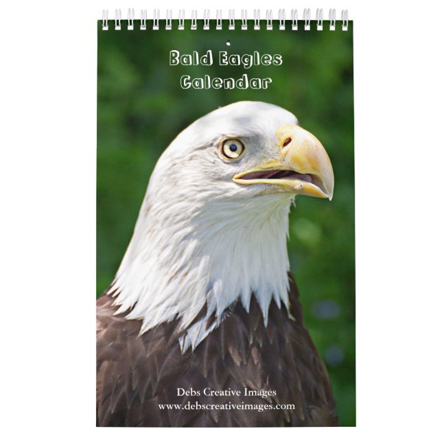 Bald Eagles 2026 Calendar (Cover)