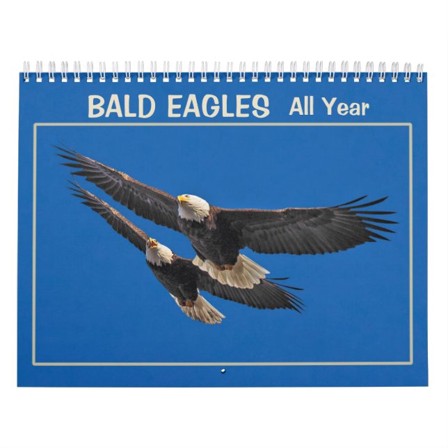 Bald Eagles All Year Calendar (Cover)
