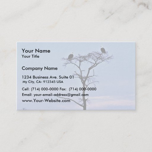 Customizable Bald Eagles at Reelfoot National Wildlife Refuge Business Card Templates