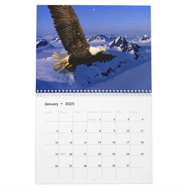 Bald Eagles Calendar | Zazzle