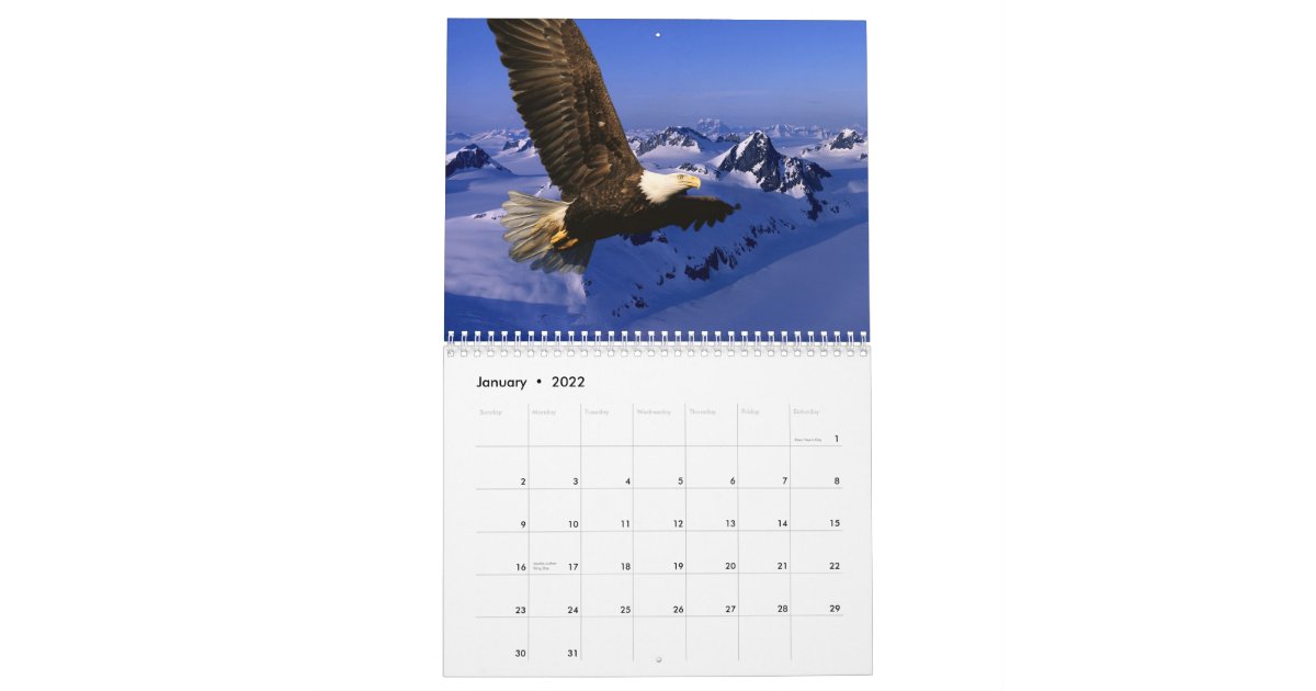 Bald Eagles Calendar